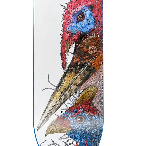 GX1000 - Birds - 8.375