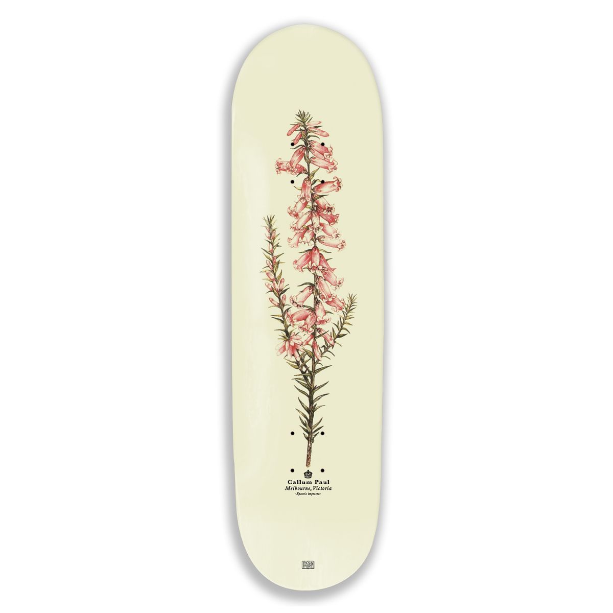 PASS~PORT - Pink Health Reissue - 8.5