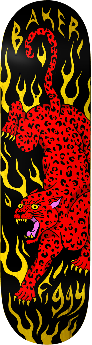 BAKER - Figgy Fortunes Fool - 8.5