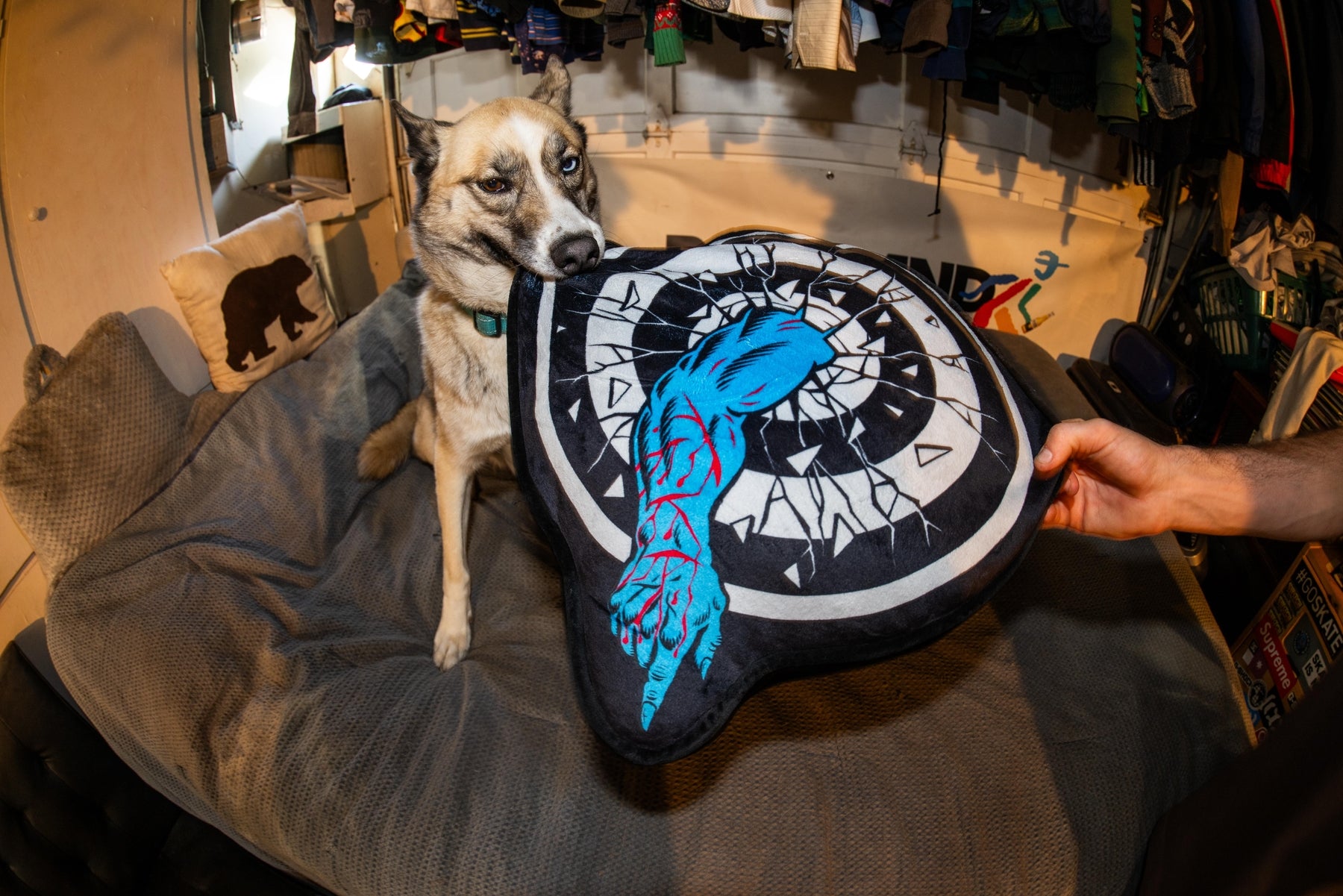 SANTA CRUZ - Roskopp Target Pillow