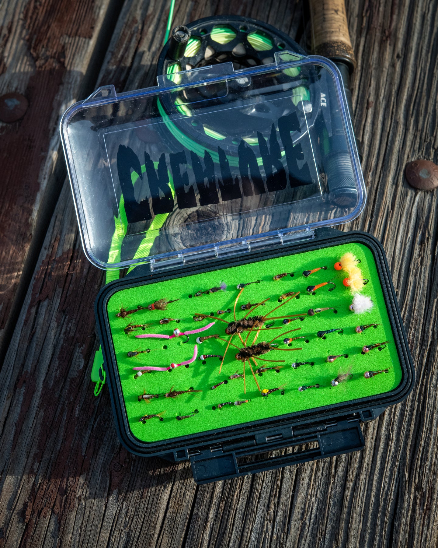 CREATURE - Stream Stash Storage Case