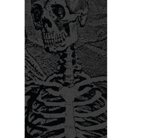 POWELL PERALTA - Skeleton Black Griptape 9 x 33
