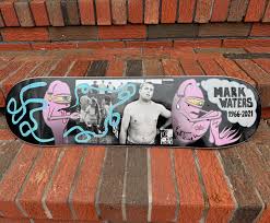 TOY MACHINE - Mark Waters Forever - 8.25